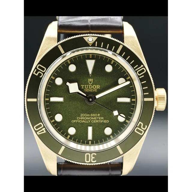Tudor Yellow Gold Black Bay 79018V 210000026919 kol saati