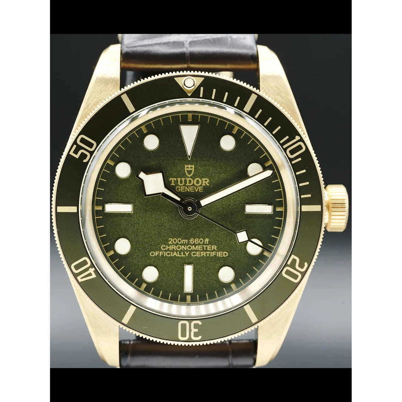 Tudor Yellow Gold Black Bay 79018V 210000026919 39 mm kol saati