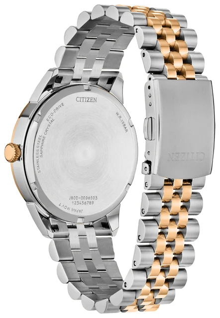 Citizen Rolan AW0156-57X kol saati
