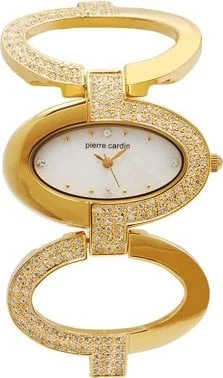 Pierre Cardin 4911 kol saati