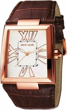Pierre Cardin 101481F05 kol saati