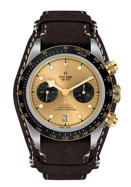 Tudor Black Bay 300586 kol saati