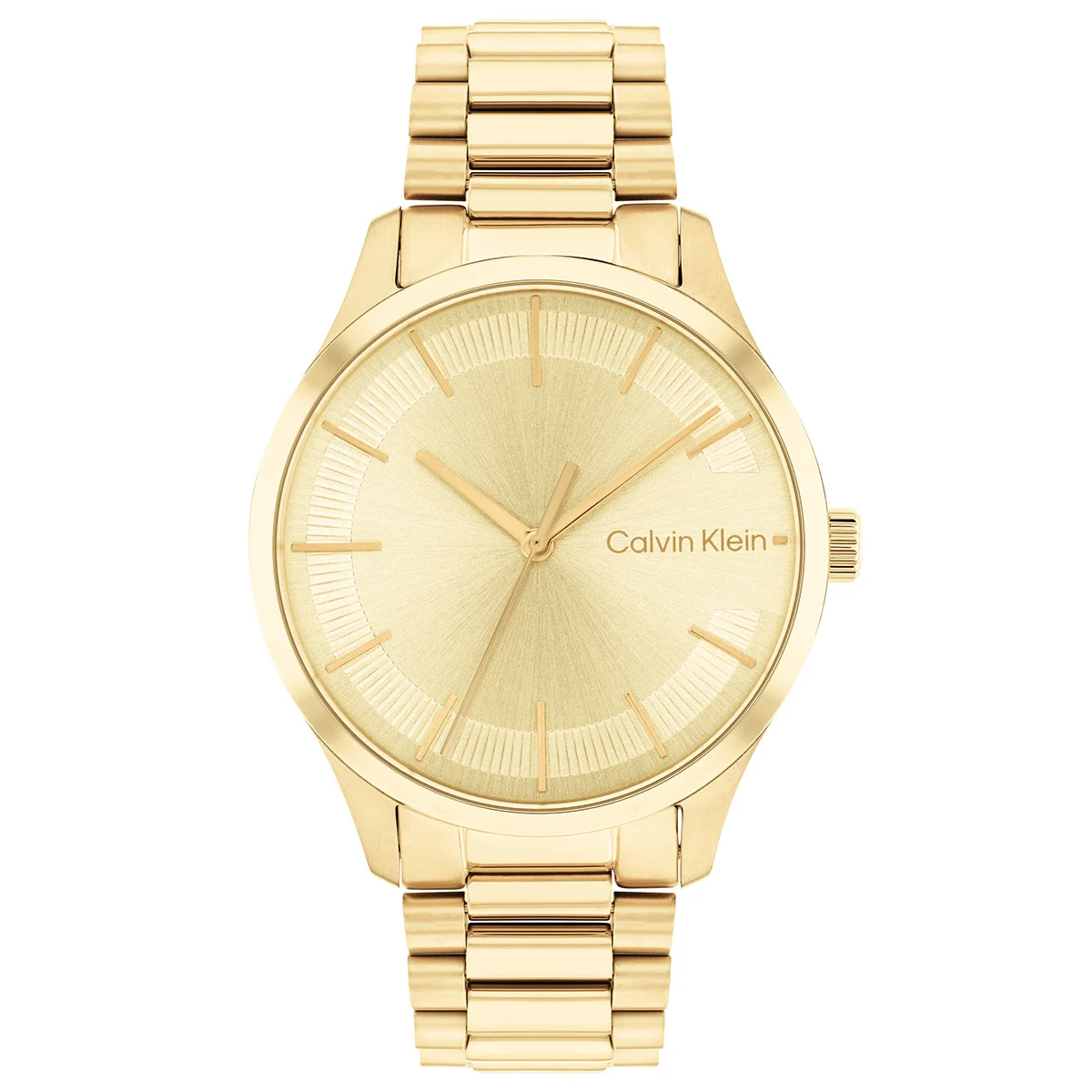 Calvin Klein CK Iconic CK25200043 35 mm kol saati