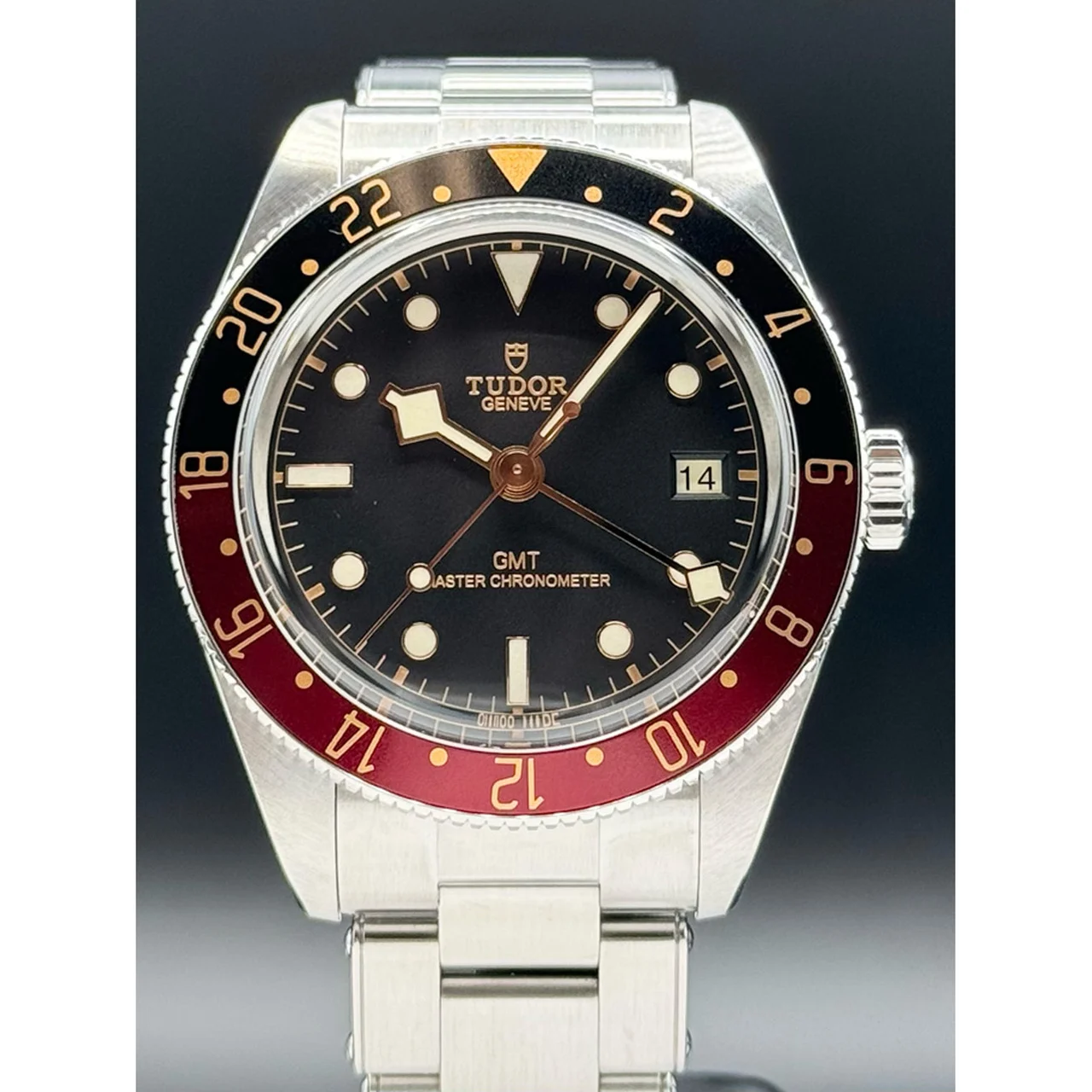 Tudor Black Bay GMT 39mm Stainless Steel 210000083782 39 mm kol saati