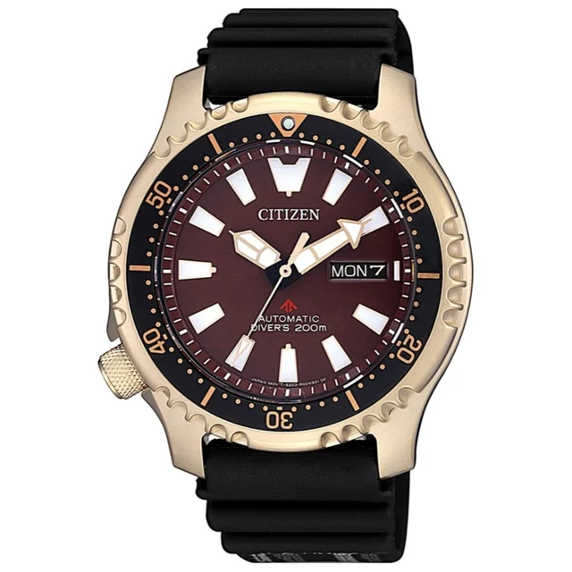 Citizen Promaster NY0083-14XB kol saati