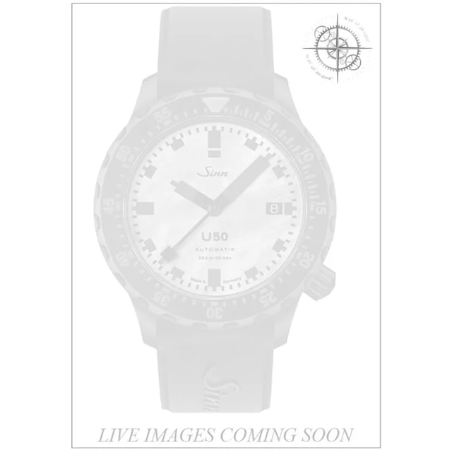 Sinn S.Perlmutt S. 1050.0201 210000034571 kol saati