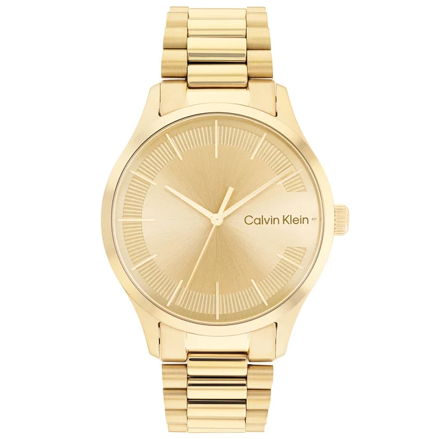 Calvin Klein CK Iconic CK25200038 kol saati