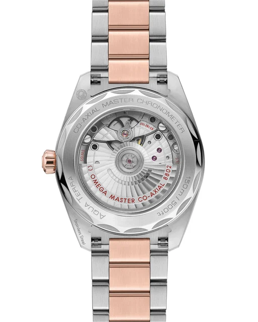 OMEGA Seamaster Aqua Terra 150M 220.20.38.20.10.001 kol saati